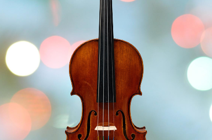 fiddle vs violin